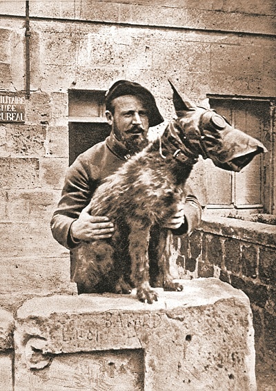 Герои Первой мировой войны: пес-шпион и голубь-полковник фото 1