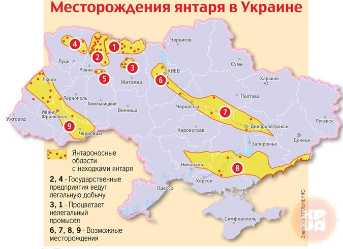 Янтарная карта Украины: тысячи долларов под ногами фото 2