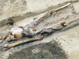 Череп лежал между ног скелета. Фото: ИТАР - ТАСС/EPA.
